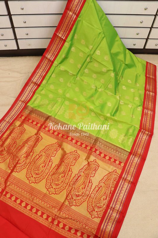 Peacock Bentex Saree