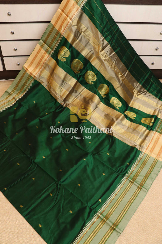 Narayanpeth Saree