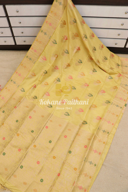 Dola Meena Saree